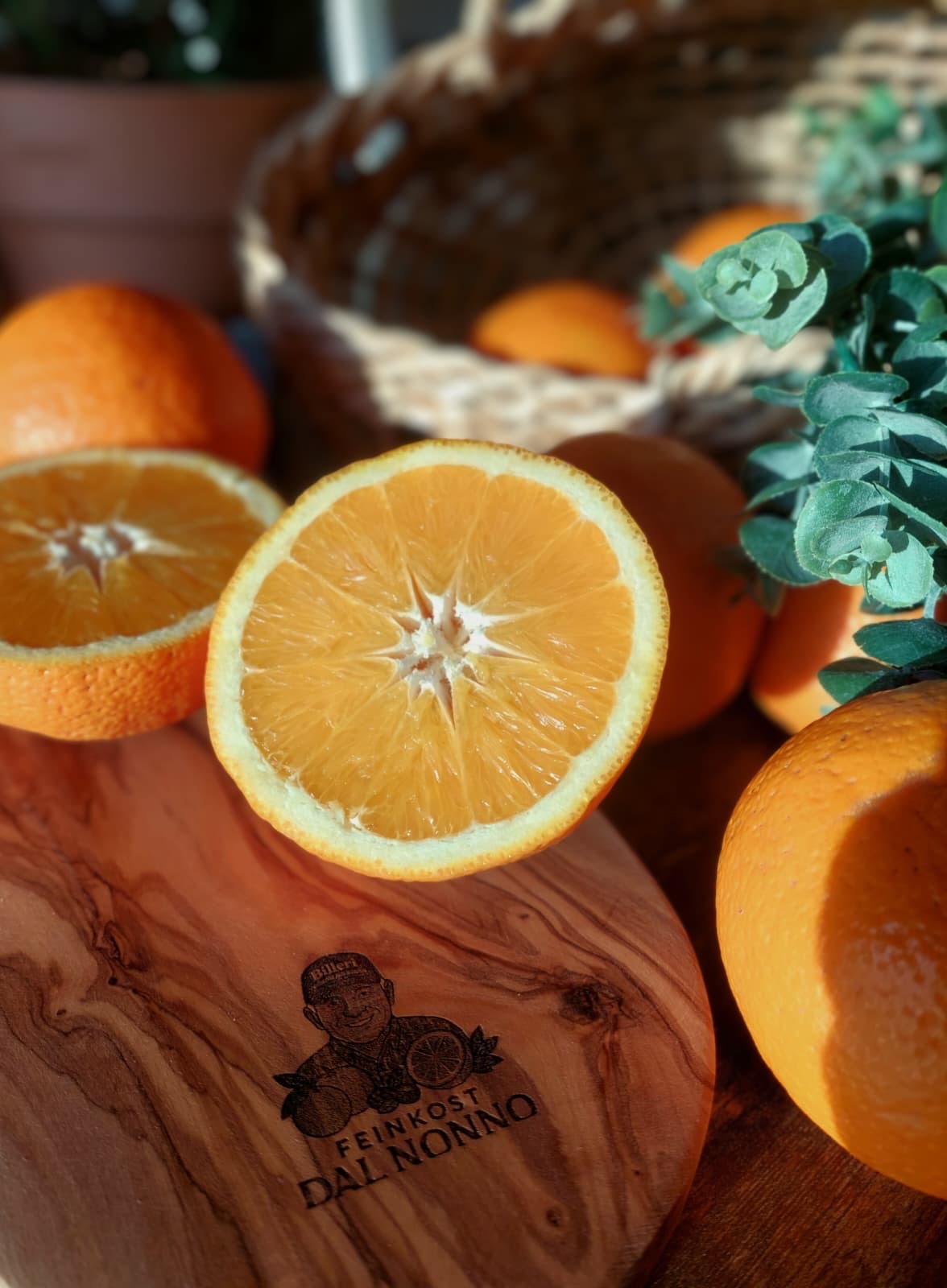 DAL NONNO Orangen