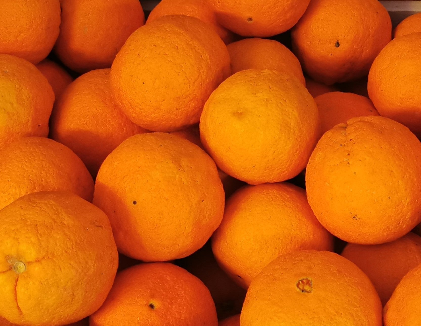 Orangen 14-16 kg - AUSVERKAUFT! Nächste Vorbestellung ab Oktober 2026